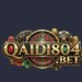 QaidiNo804 Game